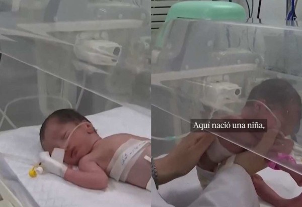 Bebê palestina nasce órfã em cesárea após mãe ser morta em ataque de Israel -  (crédito: Reprodução/Instagram)