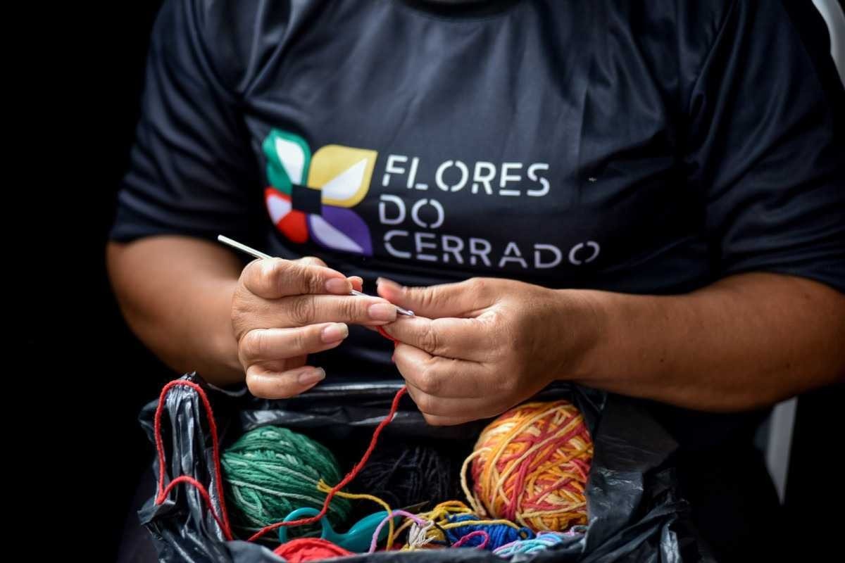 Projeto Flores do Cerrado oferece cursos gratuitos de capacitação; confira