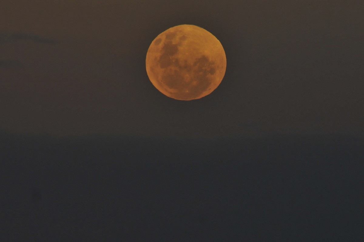 Lua cheia rosa ainda estará visível no DF nesta quarta; veja fotos