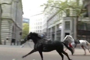 Os cavalos fazem parte de uma divisão do Exército britânico e estavam em treinamento para um desfile cerimonial na cidade -  (crédito: Reprodução/Redes sociais)