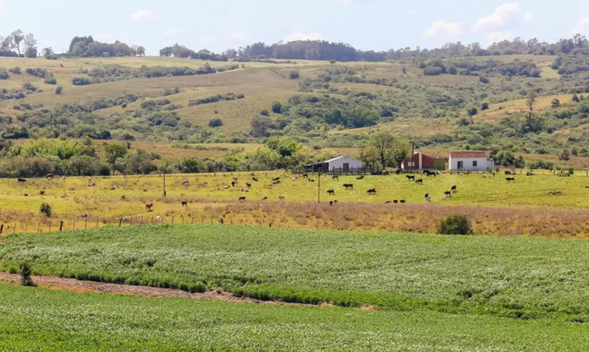 Pampa é o bioma brasileiro menos protegido por unidades de conservação -  (crédito: EBC)