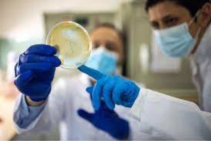 Cientistas de vários países trabalham em pesquisas que visam à resistência antimicrobiana, uma 