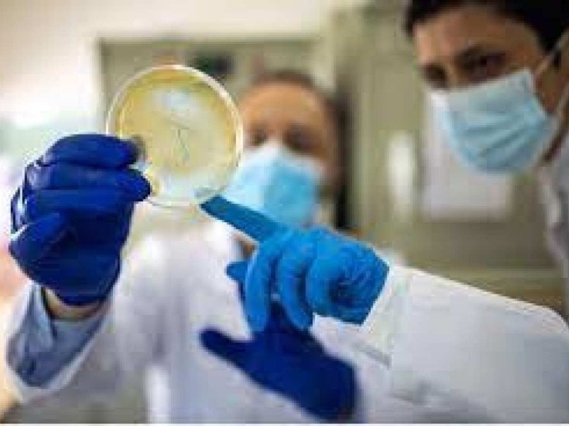 Cientistas de vários países trabalham em pesquisas que visam à resistência antimicrobiana, uma 'ameaça global', segundo a OMS
 -  (crédito: Universidade de Flinders/Divulgação )