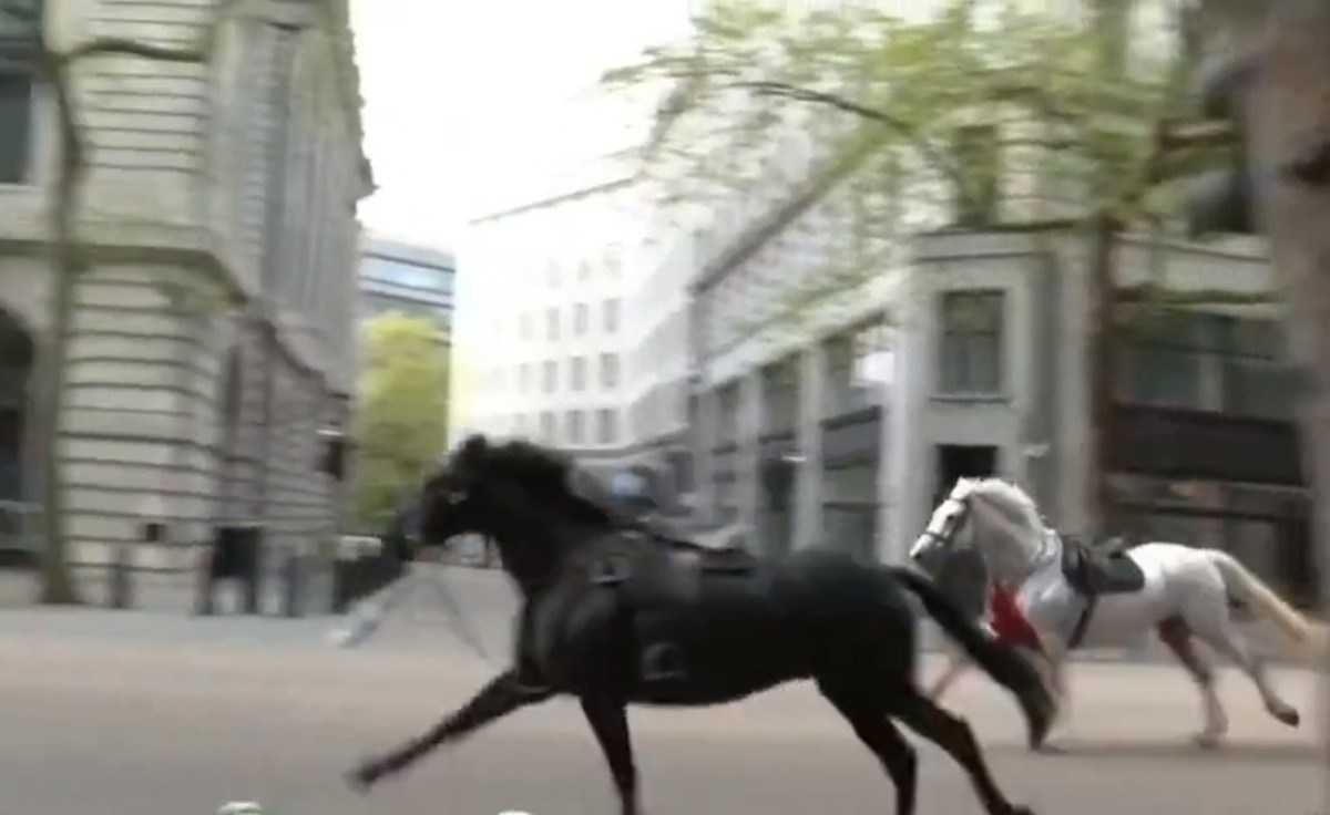 Cavalos do Exército de Londres fogem e ferem 5 pessoas