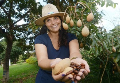 A pesquisadora Helenice Moura Gonçalves com frutos de Baru -  (crédito:  Ed Alves/CB/DA.Press)