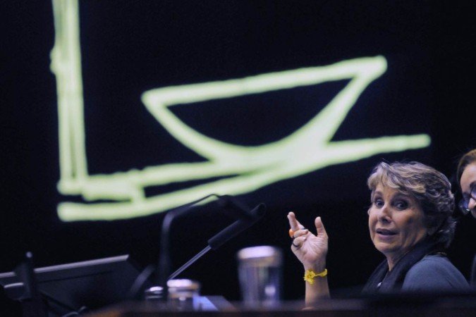 Erika Kokay foi a anfitriã da homenagem