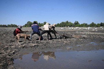 El Niño é um fenômeno climático natural que aumenta as temperaturas da superfície do oceano no Pacífico equatorial central e oriental, e provoca mudanças nos padrões de ventos, pressão e precipitações -  (crédito: Monirul Bhuiyan / AFP)