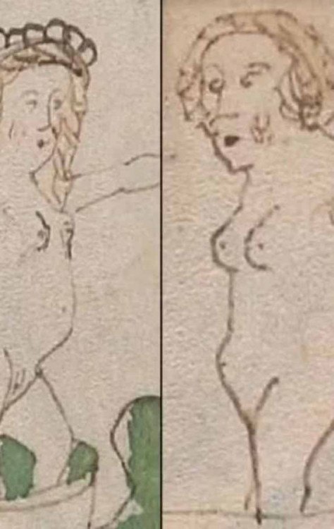 Ilustrações de mulheres peladas no manuscrito  -  (crédito: Yale University Library)