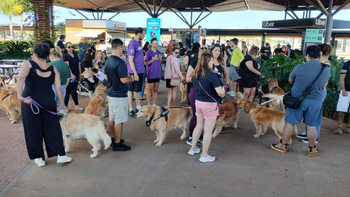 Protesto contra morte dp cão Joca, no aeroporto de Brasília