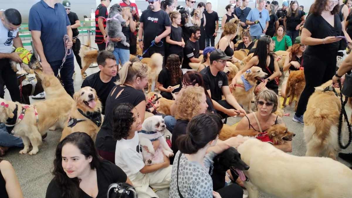 Protesto contra a morte do cachorro Joca, no aeroporto de Brasília 