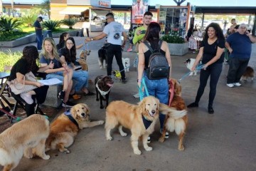 Protesto contra morte dp cão Joca, no aeroporto de Brasília  -  (crédito: Marcelo Ferreira/CB/D.A Press)