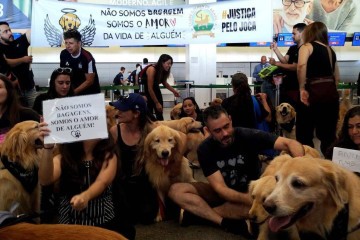 Manifestantes protestam contra morte do cão Joca no Aeroporto de Brasília
 -  (crédito:  Marcelo Ferreira/CB/D.A Press)