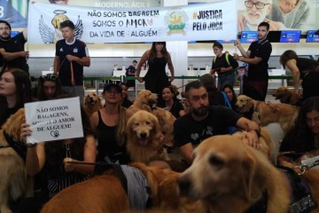 Protesto contra morte dp cão Joca, no aeroporto de Brasília -  (crédito: Marcelo Ferreira/CB/D.A Press)