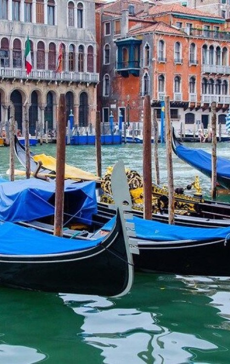 Veneza passa a cobrar taxa para evitar turismo de massa -  (crédito: Uai Turismo)