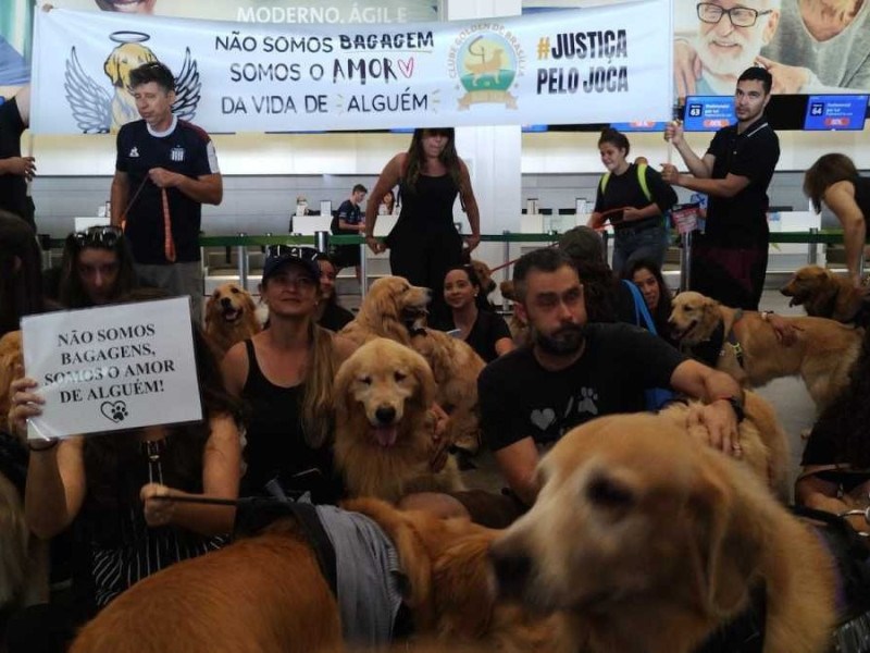 Manifestantes protestam contra morte do cão Joca no Aeroporto de Brasília 