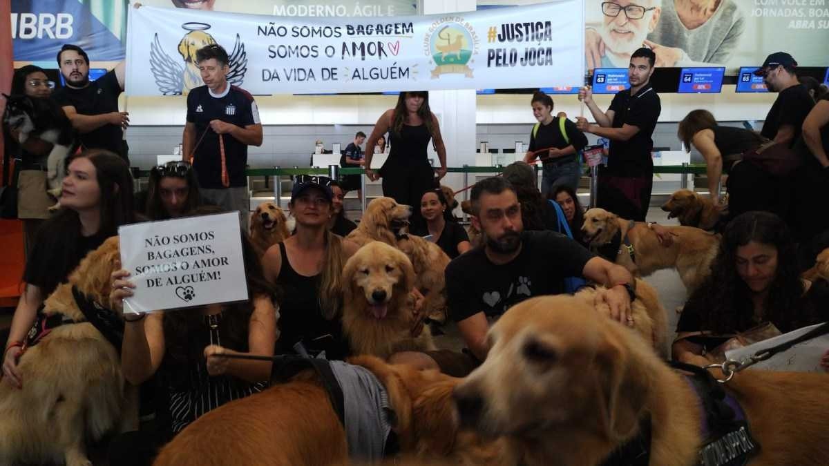 Protesto contra morte dp cão Joca, no aeroporto de Brasília