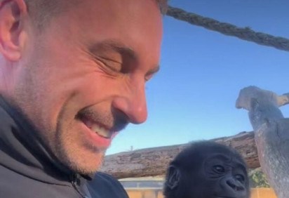 Uma história curiosa envolvendo um bebê gorila e um cuidador  chamou a atenção recentemente em um zoológico da Austrália.  -  (crédito: reprodução / instagram @zookeeper_chad)