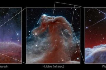 Imagens da nebulosa Cabeça de Cavalo captadas pelo telescópio James Webb -  (crédito: ESA/Euclid/Euclid Consortium/NASA, image processing by J.-C. Cuillandre (CEA Paris-Saclay), G. Anselmi, NASA, ESA, and the Hubble Heritage Team (AURA/STScI), ESA/Webb, CSA, K. Misselt (University of Arizona), M. Zamani (ESA/Webb))
