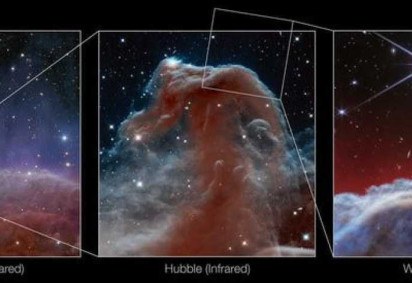 Imagens da nebulosa Cabeça de Cavalo captadas pelo telescópio James Webb -  (crédito: ESA/Euclid/Euclid Consortium/NASA, image processing by J.-C. Cuillandre (CEA Paris-Saclay), G. Anselmi, NASA, ESA, and the Hubble Heritage Team (AURA/STScI), ESA/Webb, CSA, K. Misselt (University of Arizona), M. Zamani (ESA/Webb))
