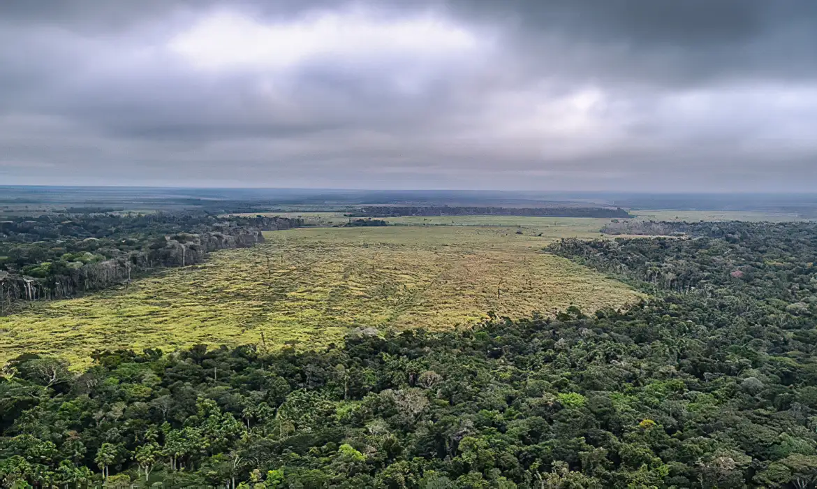 Prorrogada adesão a programa de combate ao desmatamento na Amazônia -  (crédito: EBC)