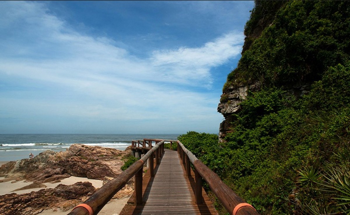 Dicas de passeios para aproveitar o último feriado prolongado do ano no Paraná -  (crédito: Uai Turismo)