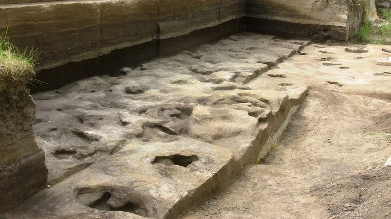 Pesquisadores da Universidade de Tubingen, na Alemanha, encontraram pegadas humanas e animais de aproximadamente 300 mil anos. A descoberta foi realizada no complexo de sítios paleolíticos, localizado na Baixa Saxônia. -  (crédito: Divulgação/Universidade de Tubingen)