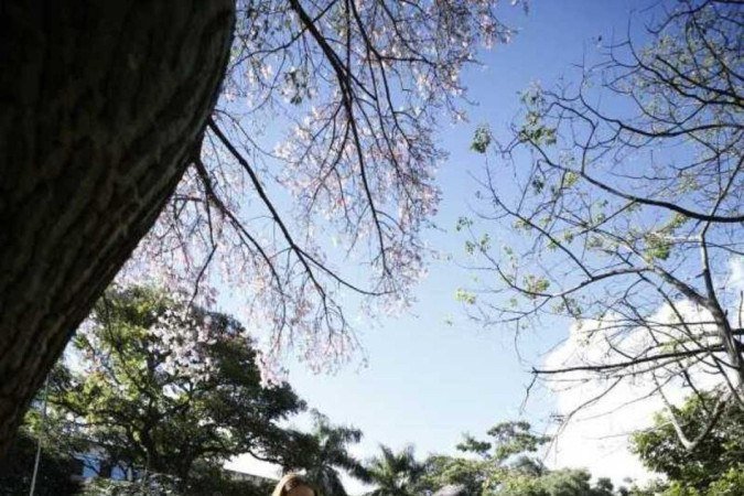  Marcelo Magaldi e Tatiana Corrêa, moradores da 409 norte, apreciam as paineiras espalhadas pela região 