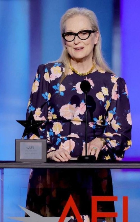 Meryl Streep é uma das atrizes mais respeitadas de Hollywood, com 3 Oscars e 21 indicações -  (crédito: KEVIN WINTER / GETTY IMAGES NORTH AMERICA / Getty Images via AFP)