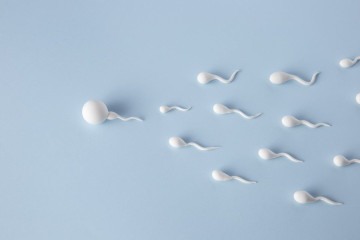 A fertilização in vitro tem aumentado bastante no Brasil nos últimos anos -  (crédito: Reprodução/Freepik)