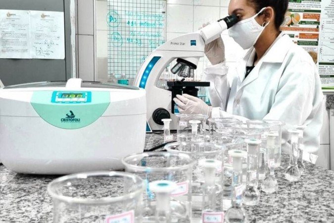 Interessados em se candidatar devem possuir graduação em nível superior e doutorado na área -  (crédito: Fapema/Divulgação )