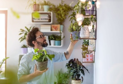 Cuidar de plantas em casa pode ser simples com alguns hábitos (Imagem: pikselstock | Shutterstock) -  (crédito: EdiCase - Decoração -> Revista do CB)