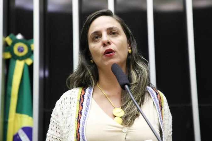 Fernanda Melchionna já foi alvo de processo do PL que pedia cassação do mandato da parlamentar após fala em que sugere relação da família Bolsonaro com a milícia -  (crédito: Mario Agra/Câmara dos Deputados)