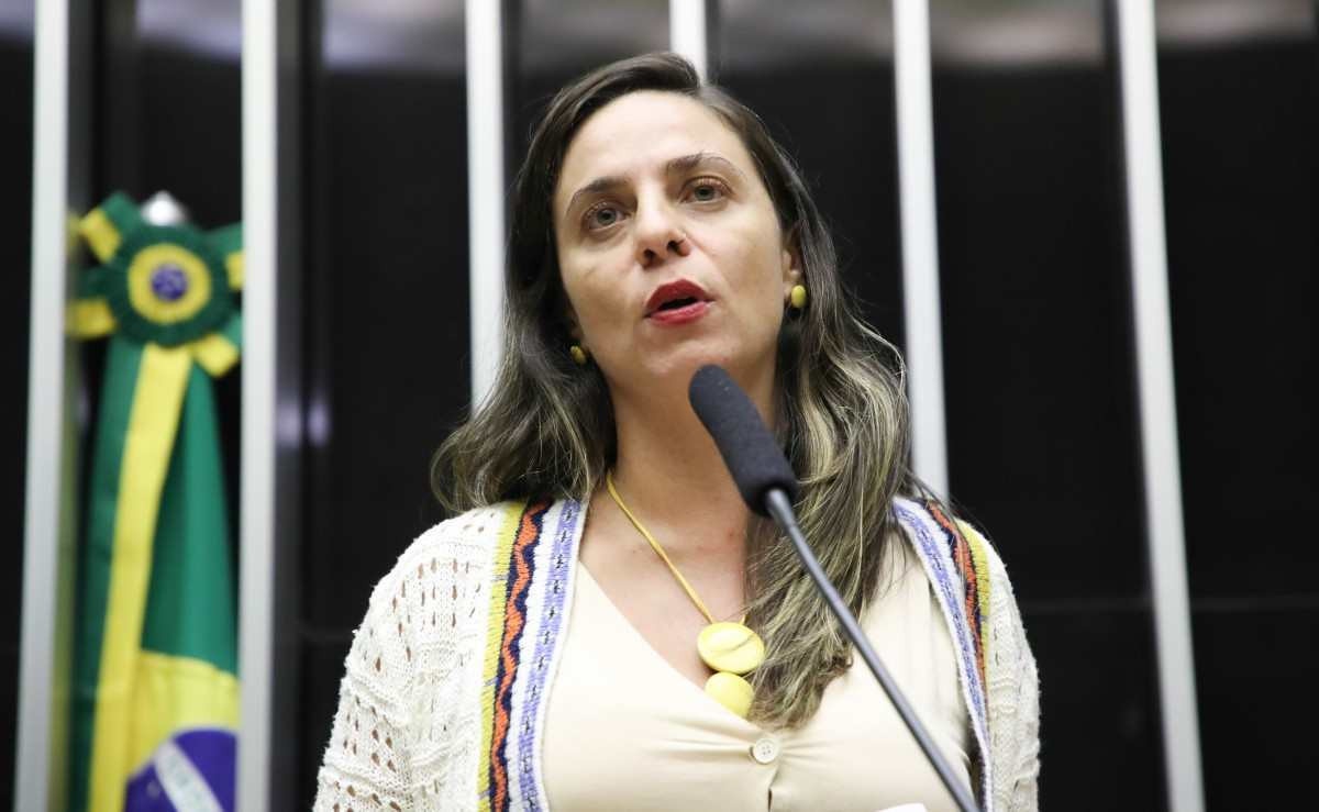 Bolsonaristas denunciam deputada do Psol ao STF por post contra PL antiaborto