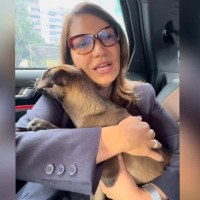 Primeira-dama Janja adotou cachorrinha vítima das enchentes no Rio Grande do Sul e batizou o animal de 'Esperança'.  -  (crédito: Reprodução @janjalula)
