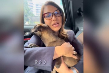 Primeira-dama Janja adotou cachorrinha vítima das enchentes no Rio Grande do Sul e batizou o animal de 'Esperança'.  -  (crédito: Reprodução @janjalula)