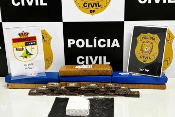 A 35ªDF apreendeu 7 barras de maconha, 739g de cocaína e 15 tabletes de haxixe, com aproximadamente 100g cada, com uma mulher que viajava de ônibus -  (crédito: Divulgação: Polícia Civil )