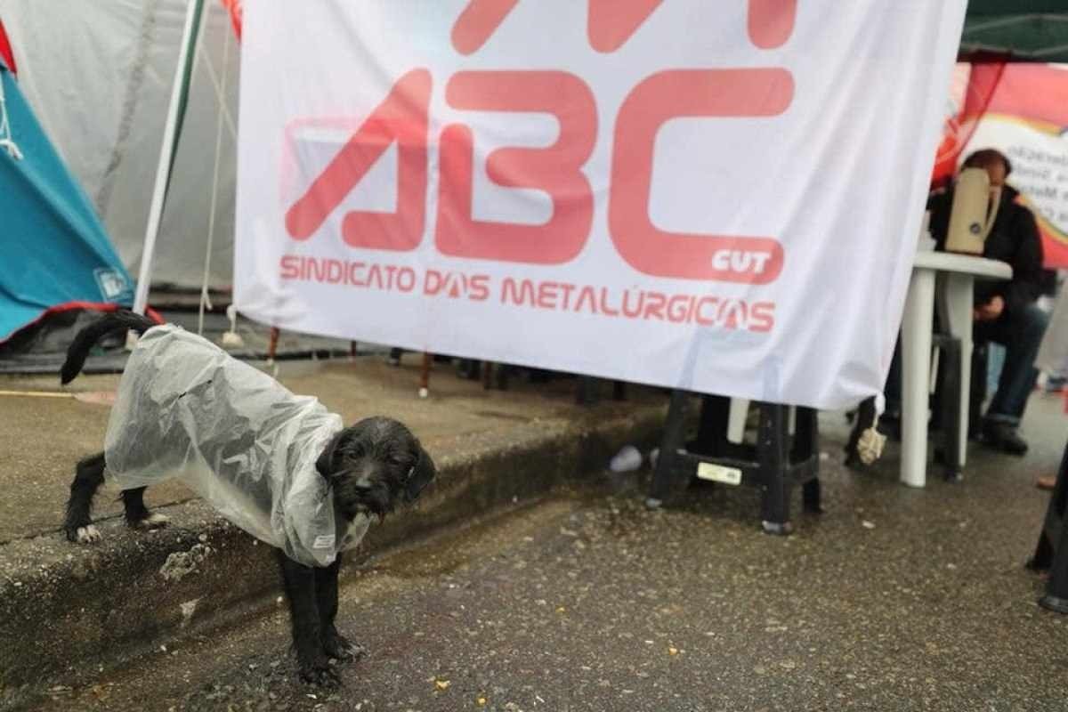 Cachorrinha Resistência na tenda dos metalúrgicos do ABC no acampamento em Curitiba, em 2019 