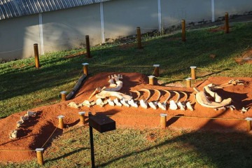   Reprodução da ossada do dinossauro achada em 2009 e trazida a Brasília dá boas-vindas no Instituto de Biologia
 -  (crédito: Fotos: Kayo Magalhães/CB/D.A Press)