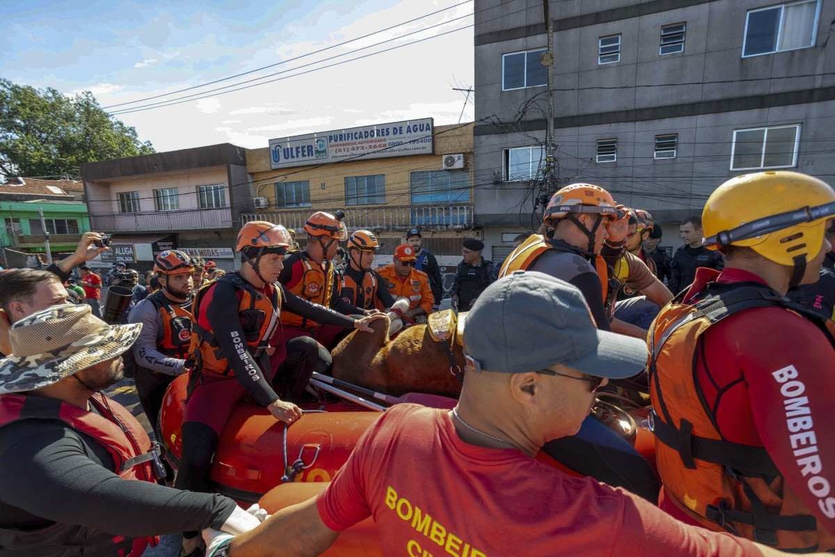 Esta foto divulgada pela Prefeitura de Canoas mostra bombeiros e voluntários carregando em um barco um cavalo que foi resgatado do telhado de uma casa na cidade de Canoas, Rio Grande do Sul, Brasil, em 9 de maio de 2024.