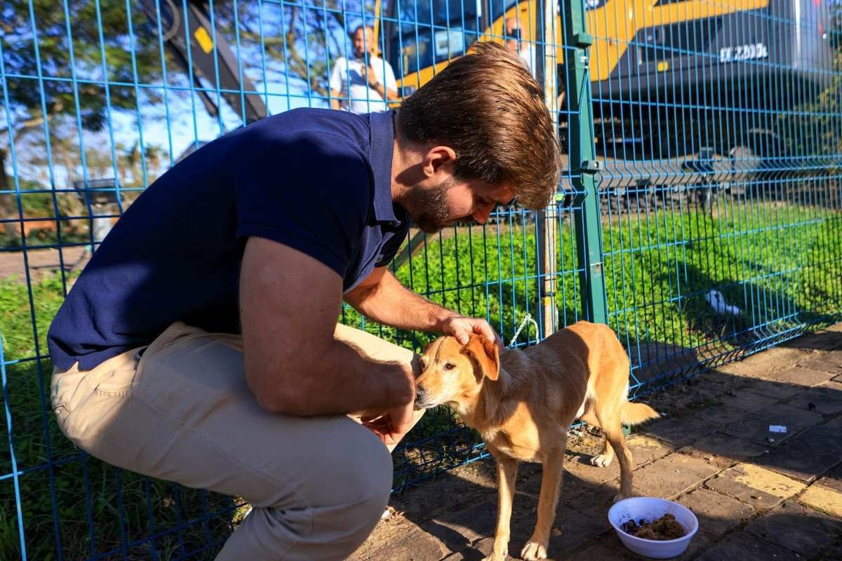 Animais são resgatados em áreas de inundação no RS