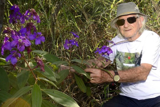 Giovenardi deixou o Cerrado retomar seu sítio. O lugar era puro deserto. Atualmente, tem nascentes d'água que regam o manacá que segura -  (crédito:  Marcelo Ferreira/CB/D.A Press)