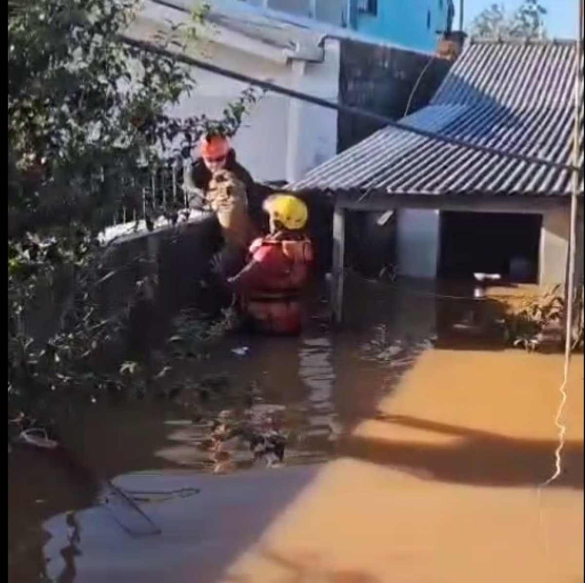 Bombeiros do DF resgatam 149 pessoas em cinco dias de missão no RS