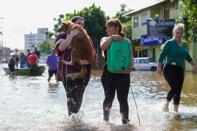 Subiu para 11.002 o número de animais resgatados nas enchentes que atingem 450 municípios do Rio Grande do Sul -  (crédito: Divulgação/Jurgen Mayrhofer/Governo do Rio Grande do Sul)
