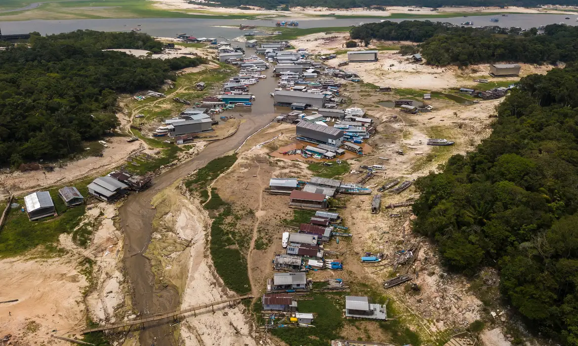 Crise climática: adolescentes levam ao papa demandas da juventude -  (crédito: EBC)