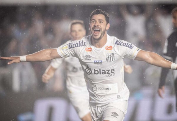 Fotos- Raul Baretta/ Santos FC