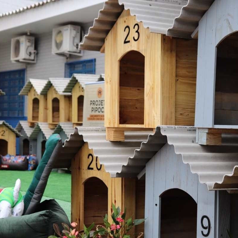 Casinhas para cães construídas por detentos de penitenciária do Paraná