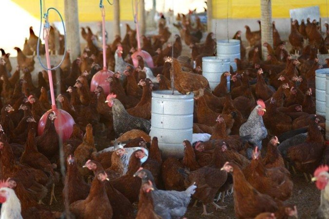 Importações da China representaram 10,4% do total exportado pelo Brasil entre janeiro e maio, gerando uma receita de US$ 545,8 milhões - (crédito: Ed Alves/CB/DA.Press) Importações da China representaram 10,4% do total exportado pelo Brasil entre janeiro e maio, gerando uma receita de US$ 545,8 milhões - (crédito: Ed Alves/CB/DA.Press)