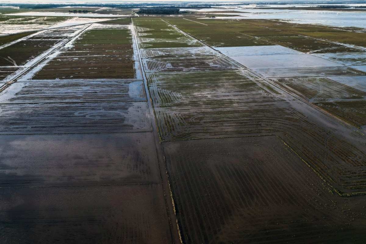 Pelo menos, R$ 2 bi em perdas no setor agrícola com enchentes no Sul