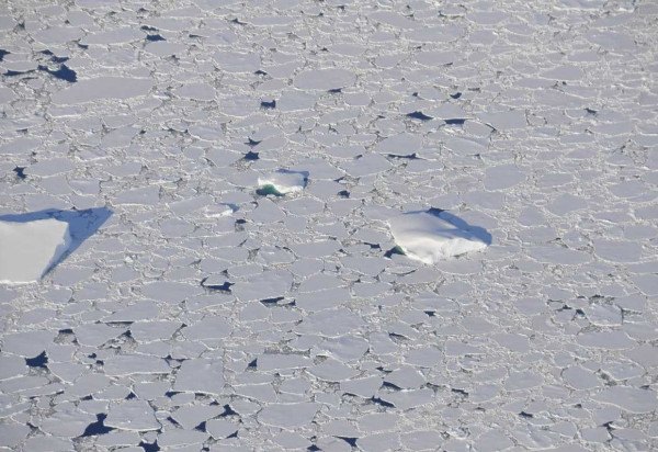 British Antarctic Survey/Divulgação 