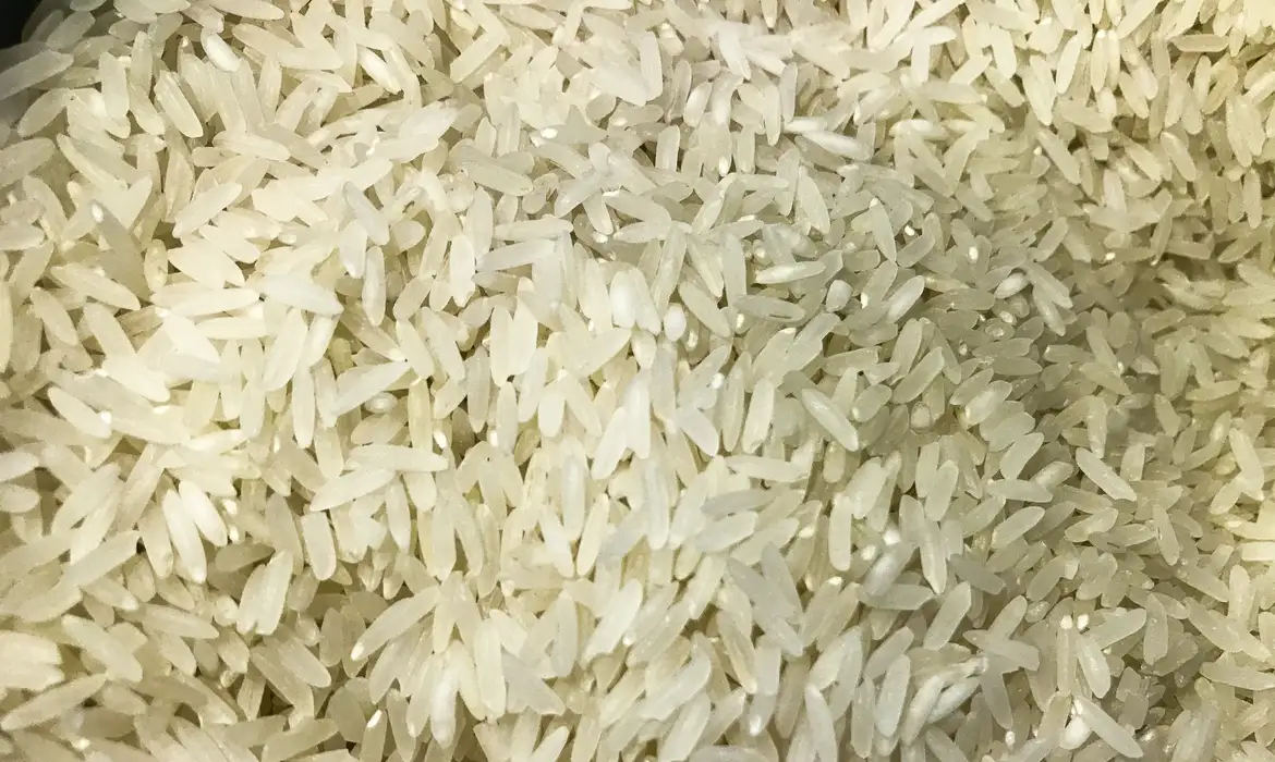 Camex zera tarifa de importação para garantir abastecimento de arroz -  (crédito: EBC)